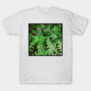 Alocasia Frydek T-Shirt